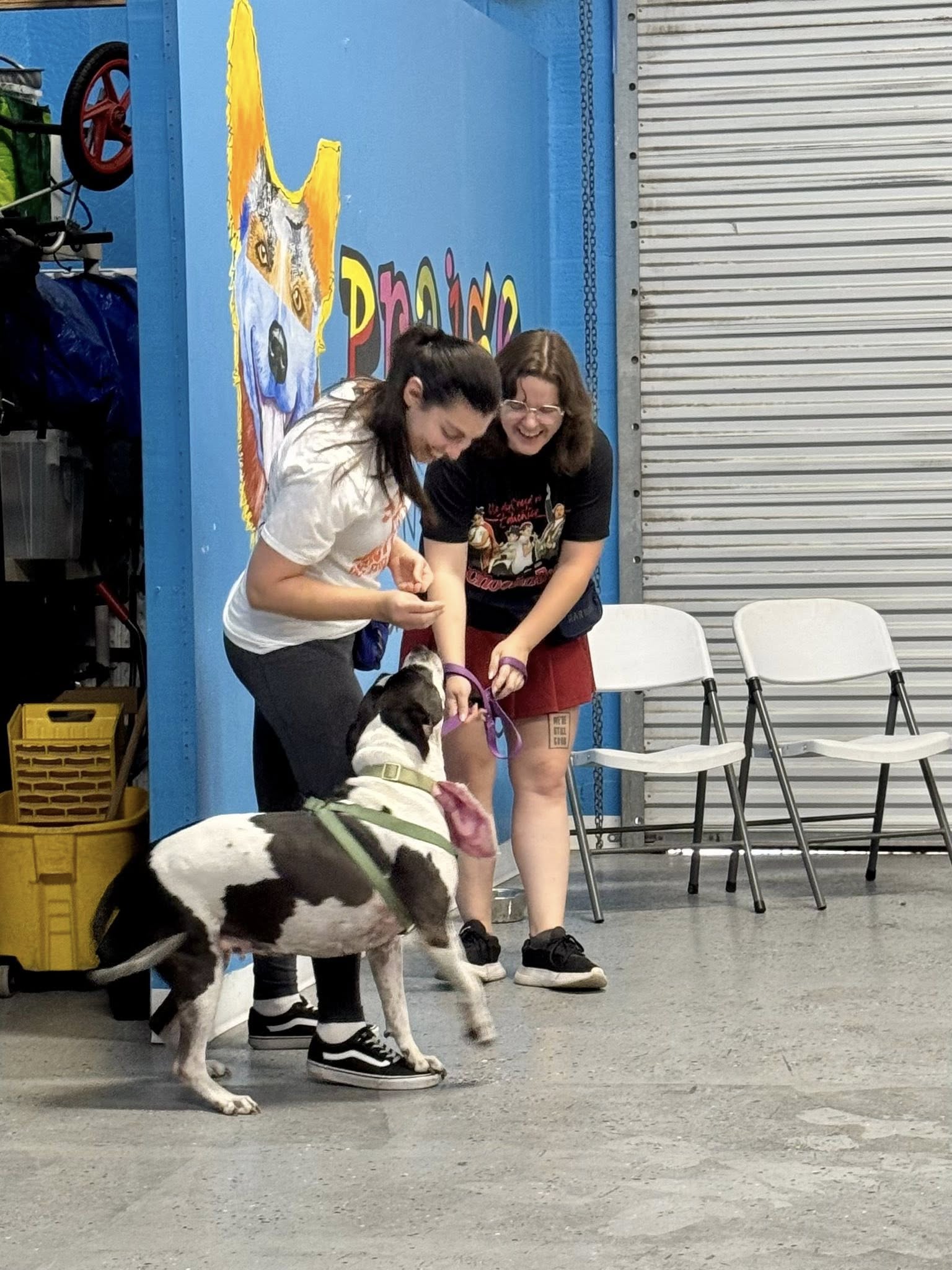 Rada training a white and grey rescue dog in a group dog training class.